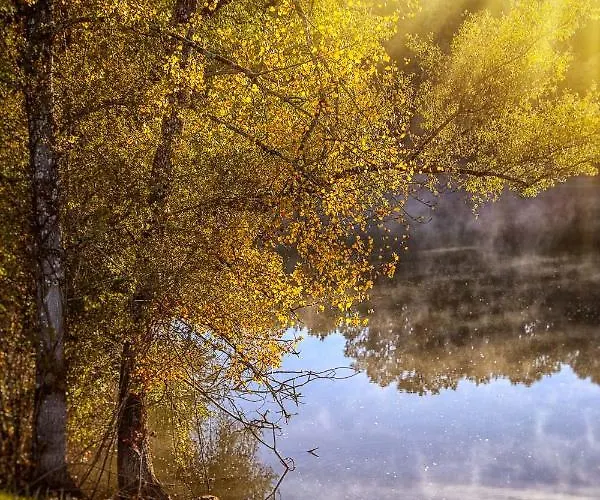 Domaine De La Porte Agonac